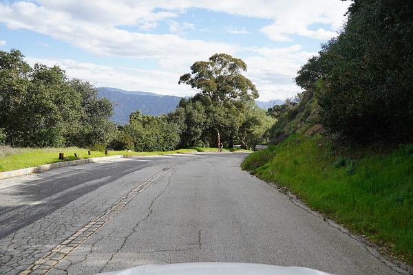 mt-hollywood-dr-2024-396