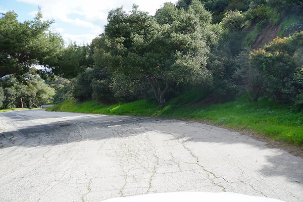 mt-hollywood-dr-2024-395