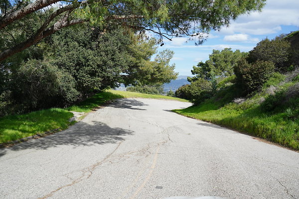 mt-hollywood-dr-2024-391