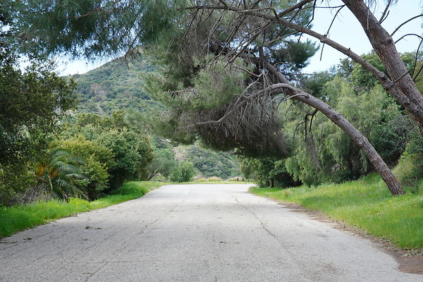 mt-hollywood-dr-2024-426
