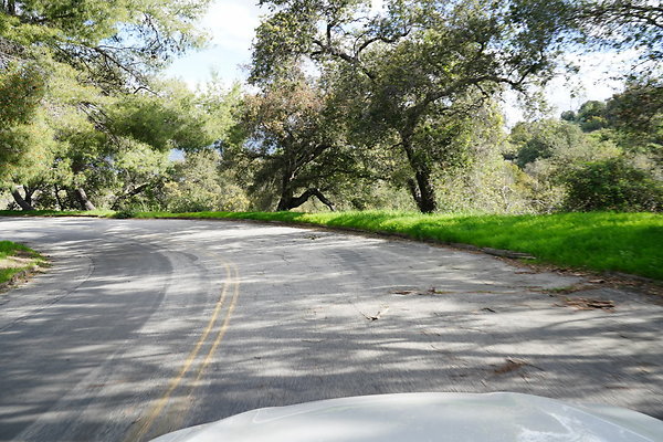 mt-hollywood-dr-2024-399