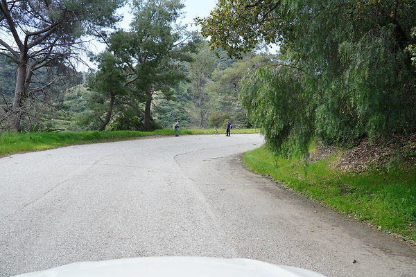 mt-hollywood-dr-2024-436