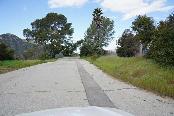 mt-hollywood-dr-2024-416