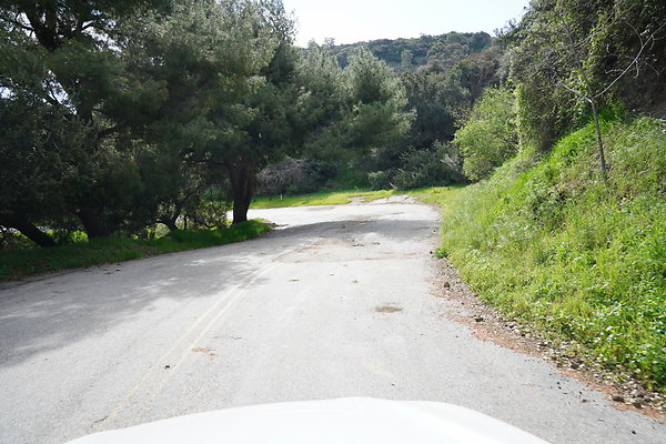 mt-hollywood-dr-2024-383