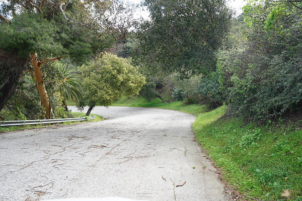 mt-hollywood-dr-2024-447