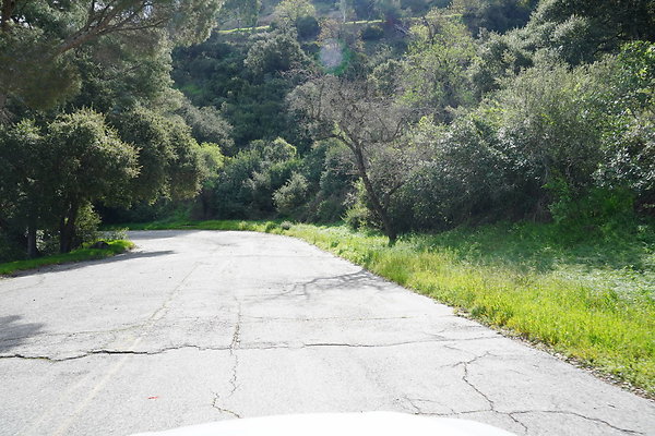 mt-hollywood-dr-2024-387