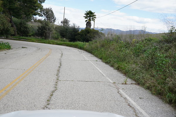 mt-hollywood-dr-2024-422