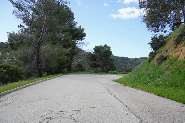 mt-hollywood-dr-2024-438