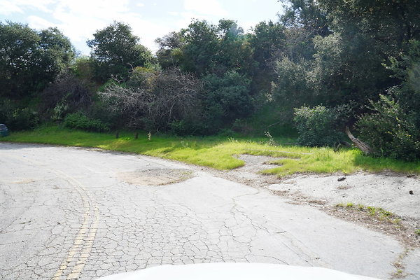 mt-hollywood-dr-2024-384