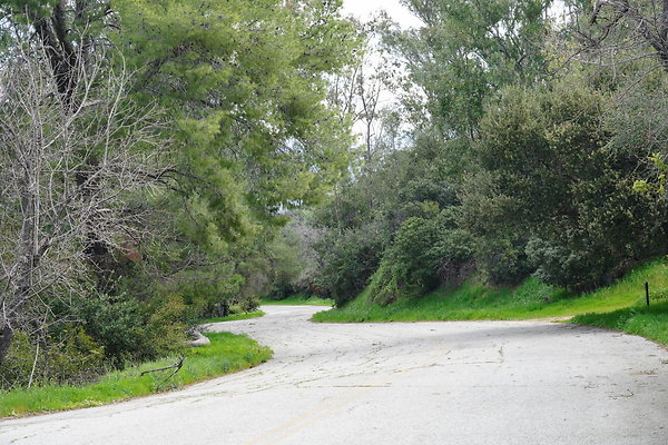 mt-hollywood-dr-2024-442