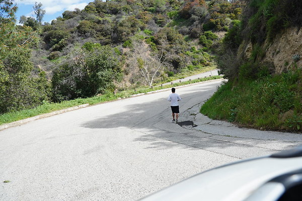 mt-hollywood-dr-2024-462