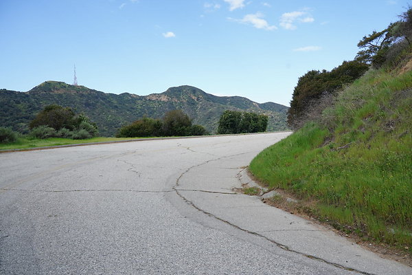 mt-hollywood-dr-2024-439
