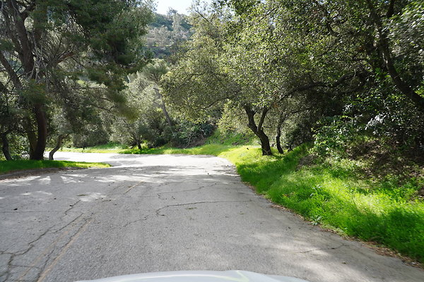 mt-hollywood-dr-2024-386