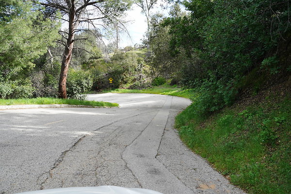 mt-hollywood-dr-2024-460