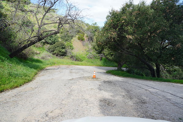 mt-hollywood-dr-2024-371