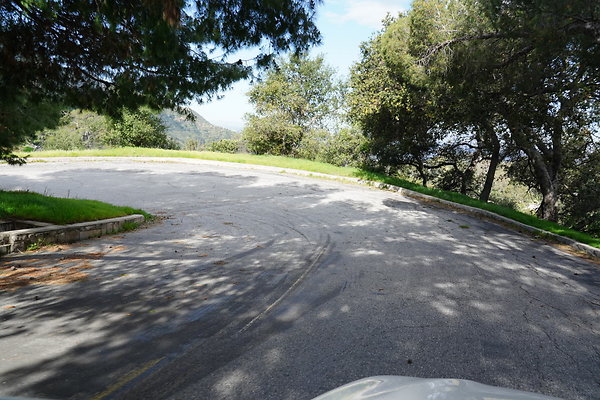 mt-hollywood-dr-2024-402