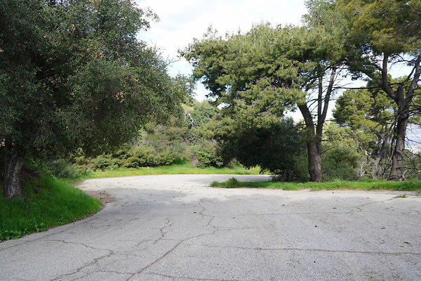 mt-hollywood-dr-2024-368