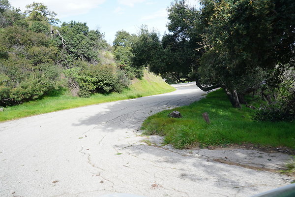 mt-hollywood-dr-2024-369