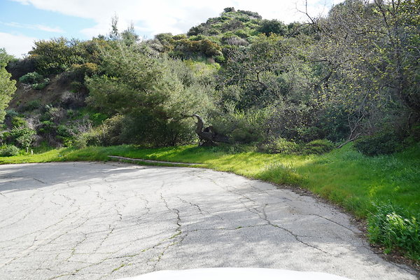 mt-hollywood-dr-2024-390