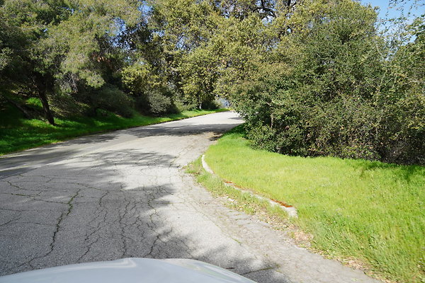 mt-hollywood-dr-2024-406