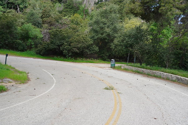 mt-hollywood-dr-2024-423