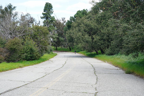 mt-hollywood-dr-2024-430