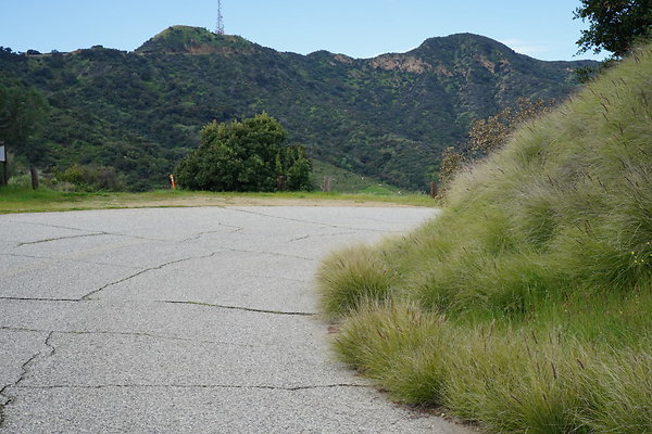 mt-hollywood-dr-2024-427