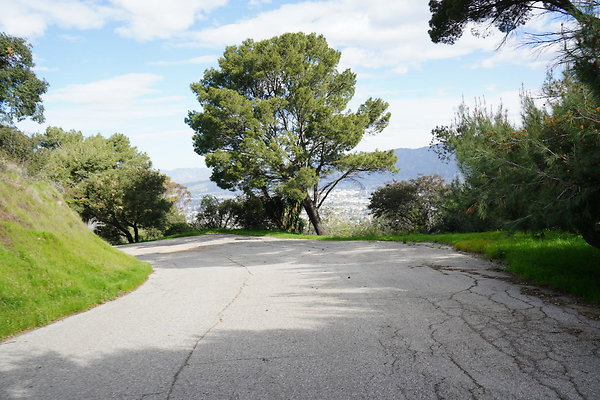 mt-hollywood-dr-2024-370