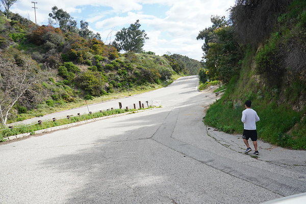 mt-hollywood-dr-2024-463