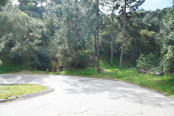 mt-hollywood-dr-2024-456