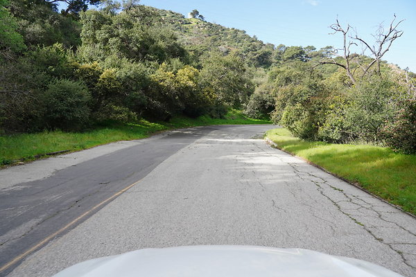 mt-hollywood-dr-2024-405