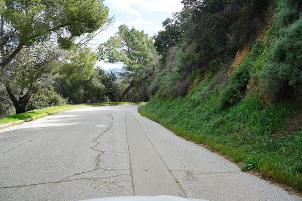 mt-hollywood-dr-2024-452
