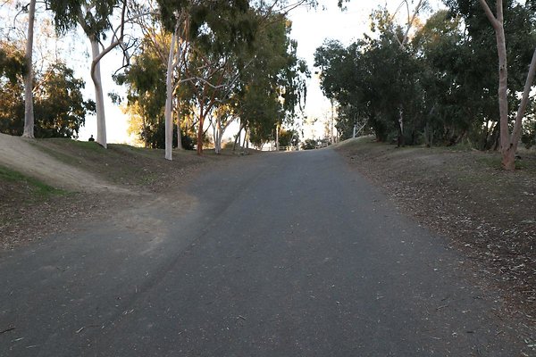 vist-del-valle 113