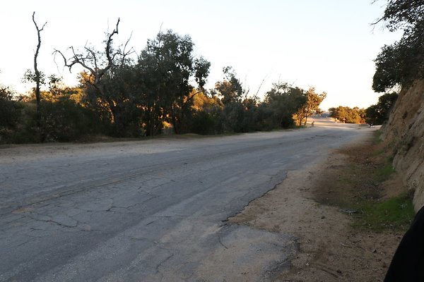 vist-del-valle 208