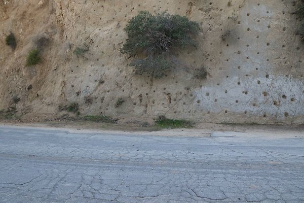 vist-del-valle 188
