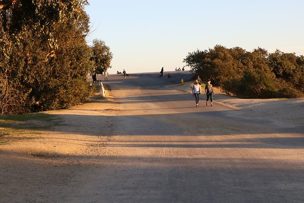 vist-del-valle 184