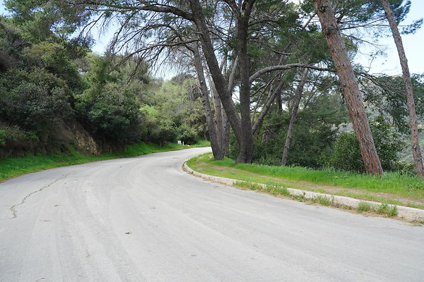 mt-hollywood-dr-2024-201