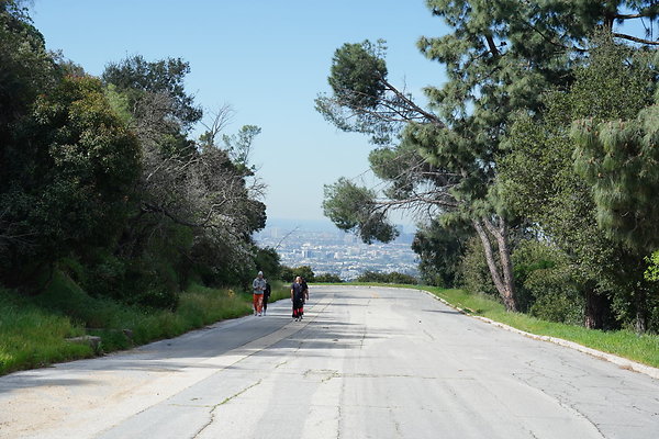 mt-hollywood-dr-2024-206