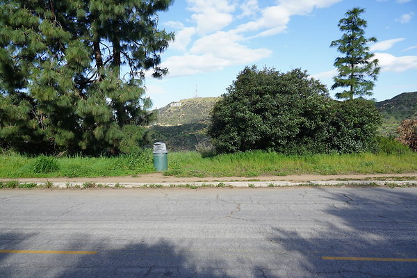 mt-hollywood-dr-2024-167