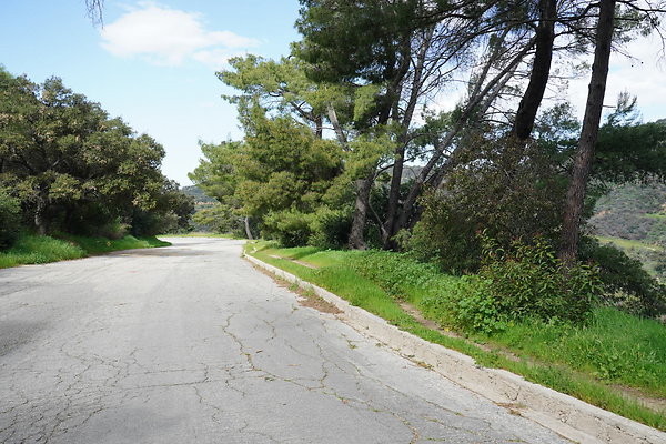 mt-hollywood-dr-2024-203