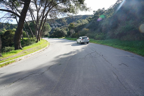 mt-hollywood-dr-2024-192