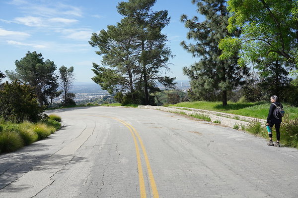 mt-hollywood-dr-2024-231