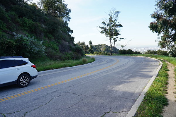 mt-hollywood-dr-2024-177