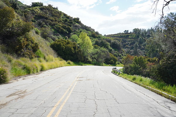 mt-hollywood-dr-2024-234