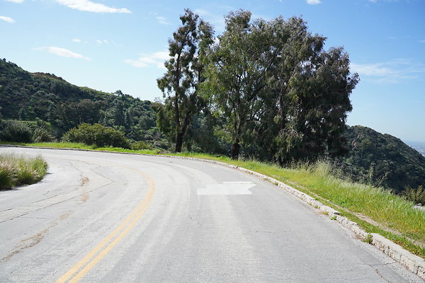 mt-hollywood-dr-2024-212