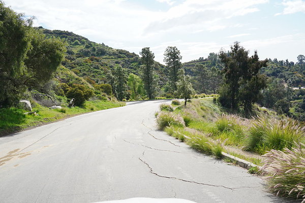 mt-hollywood-dr-2024-227
