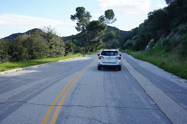 mt-hollywood-dr-2024-182