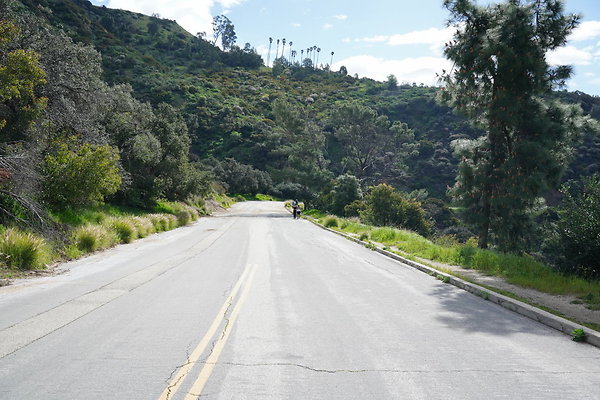 mt-hollywood-dr-2024-213