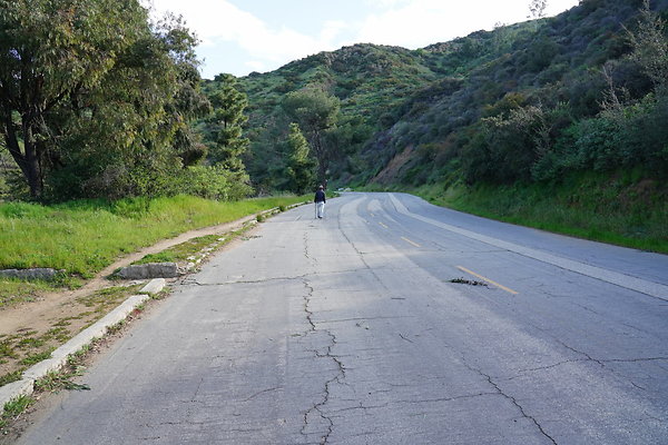 mt-hollywood-dr-2024-172