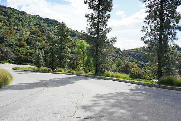 mt-hollywood-dr-2024-228